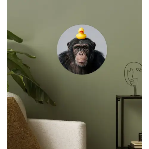 Chimpansee - Badeend - Grijs Wandcirkel behangsticker klein -sfeer2