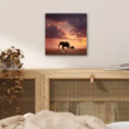 Olifanten - Grasland - Zonsondergang aluminium wit klein -sfeer3