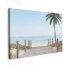 Palmbomen - Pad - Horizon Tuinposter op houten frame 2 cm dik klein -3d
