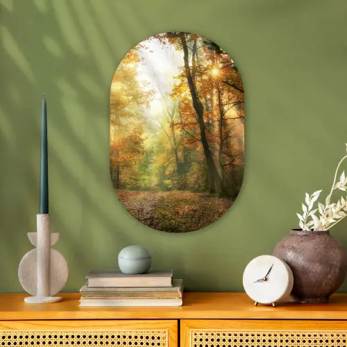 Bos - Herfst - Zon - Landschap - Natuur - Bomen - Bladeren Wandcirkel Ovaal Forex klein -sfeer2