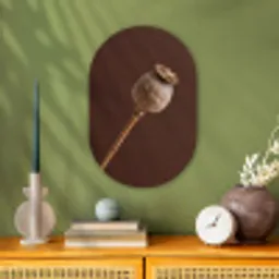 Papaverbol - Droogbloem - Bruin - Minimalistisch Wandcirkel Ovaal Forex klein -sfeer2