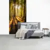 Zon - Bomen - Bos - Landschap fotobehang vinyl groot -slaapkamer