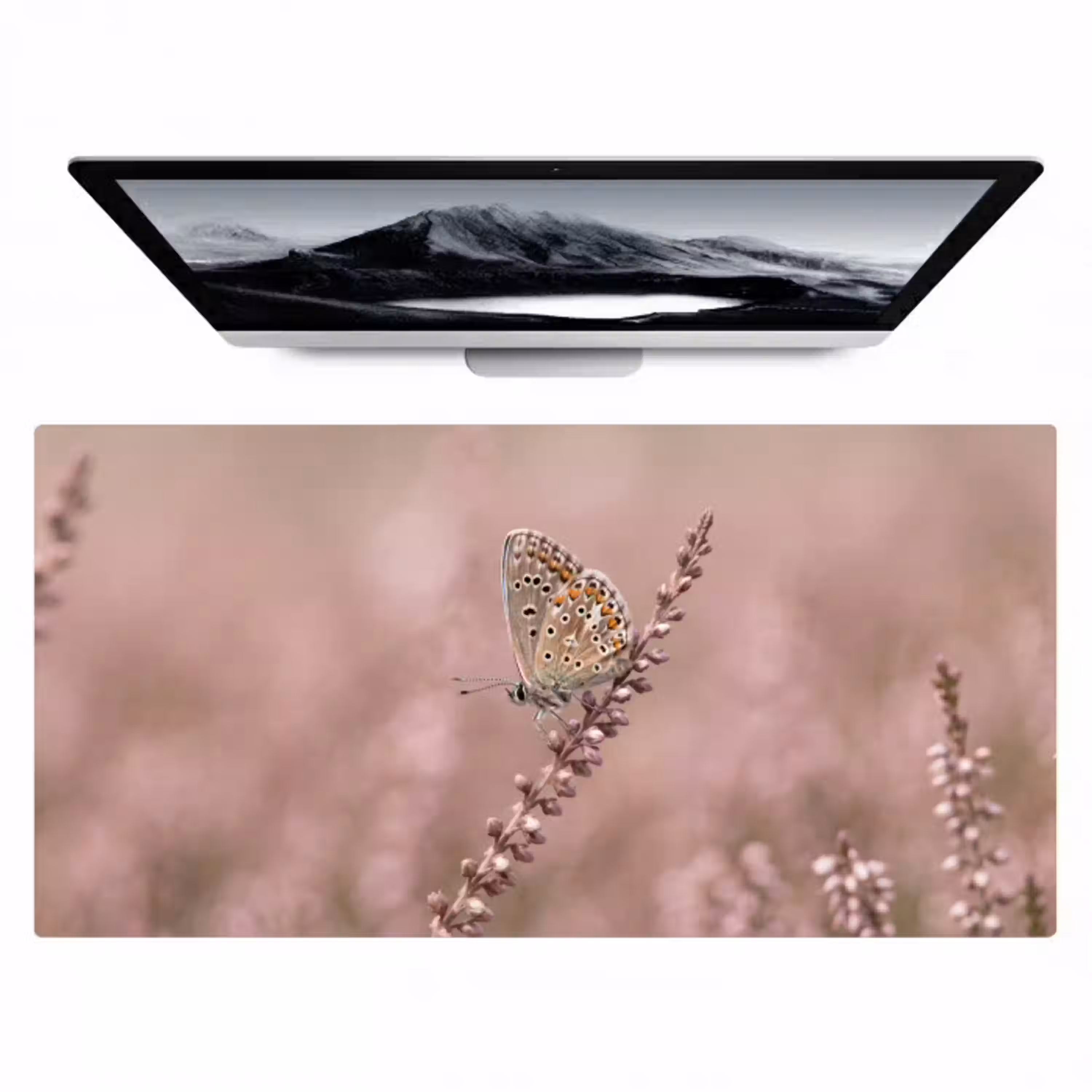 Lavendel - Vlinder - Paars Muismat XXL klein -zzz3d