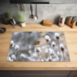 Roodborstje - Gedroogde bloem - Sneeuw - Winter - Vertederend Inductie beschermer vinyl 3mm klein -sfeer5