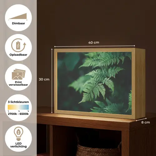 Varenblad - Groen - Structuur - Wazig Light Box met batterij (Wandlamp) middel -USP_websiteoverzichtNL