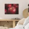 Rood - Appels - Fruit PET vilt klein -sfeer3