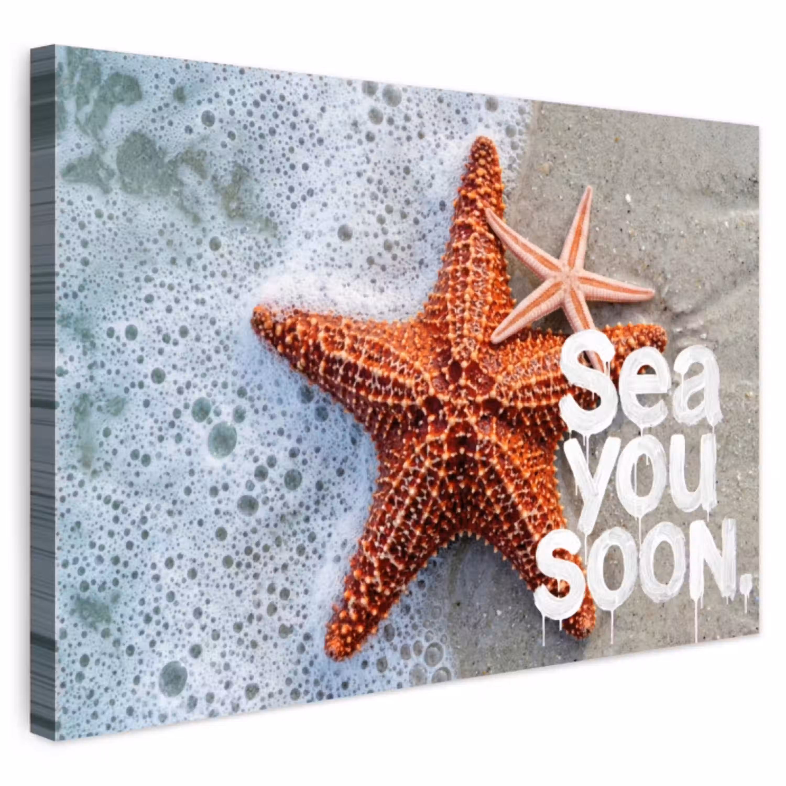 Sea you soon - Zeester - Zee Tuinposter op houten frame 2 cm dik klein -3d