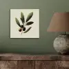 Olijftak - Donkergroen - Olijven aluminium wit klein -sfeer2