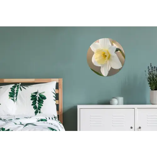Narcis - Bloem - Minimalistisch Wandcirkel aluminium klein -slaapkamer