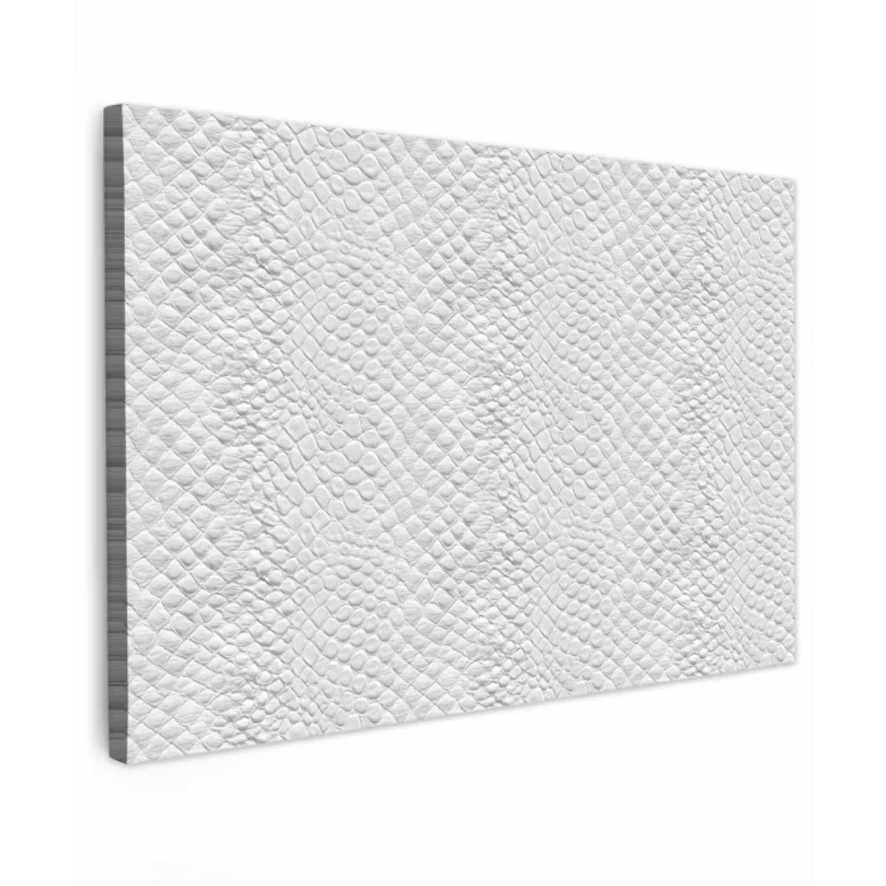 Slang - Patroon - Wit Tuinposter op houten frame 2 cm dik klein 845 -3d
