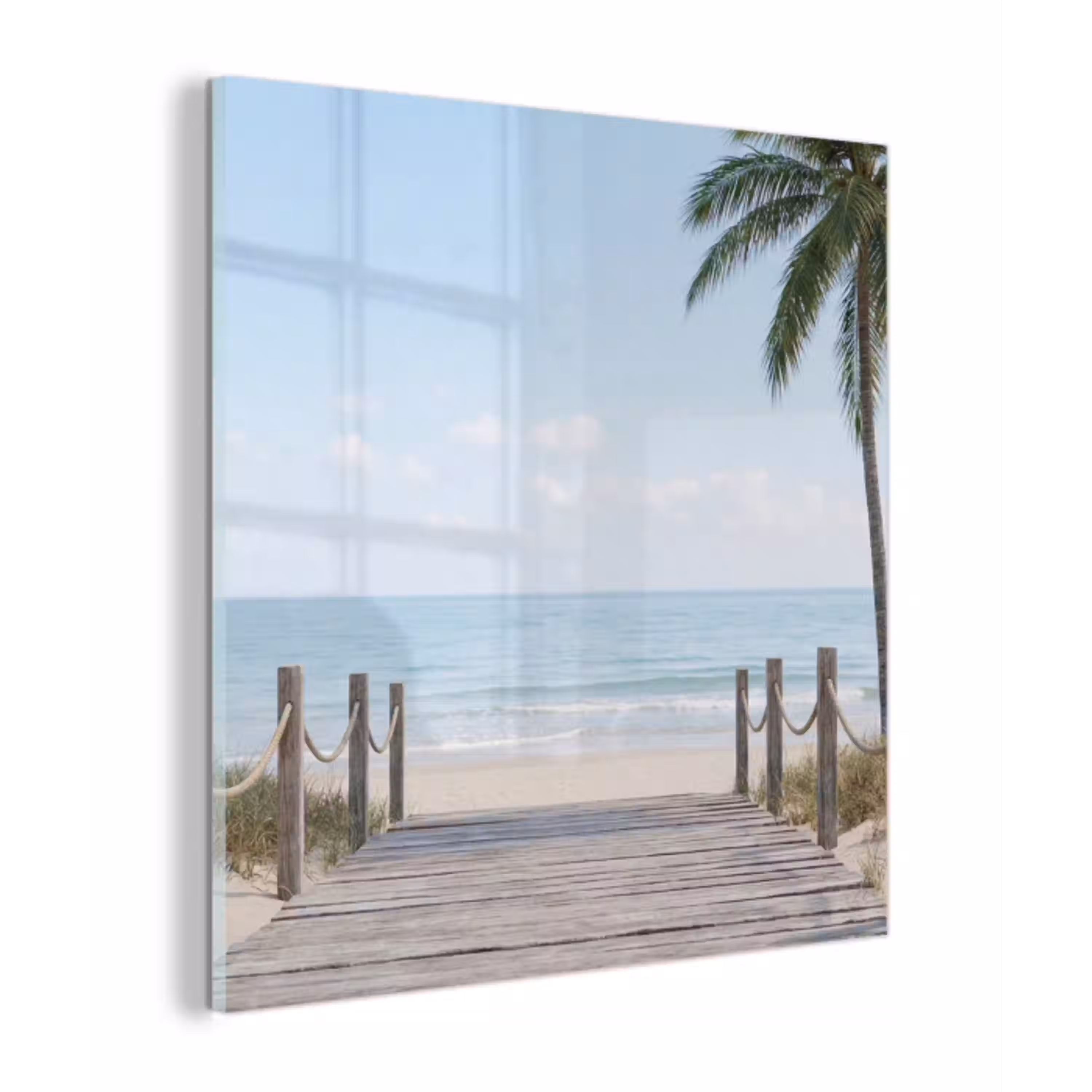 Palmbomen - Pad - Horizon plexiglas 5mm klein -z3d