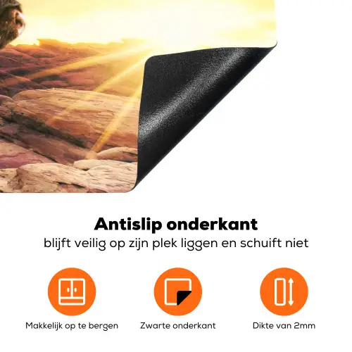 Schotse hooglander - Zon - Horizon - Koe - Dieren Inductie beschermer vinyl 3mm klein -zzzzzzz-td-onderkant
