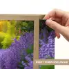 Bloemen - Pad - lavendel - Tuin Light Box met batterij (Wandlamp) middel -USP_websiteprintNL
