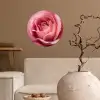 Roze - Roos - Romantisch Wandcirkel behangsticker klein -sfeer1