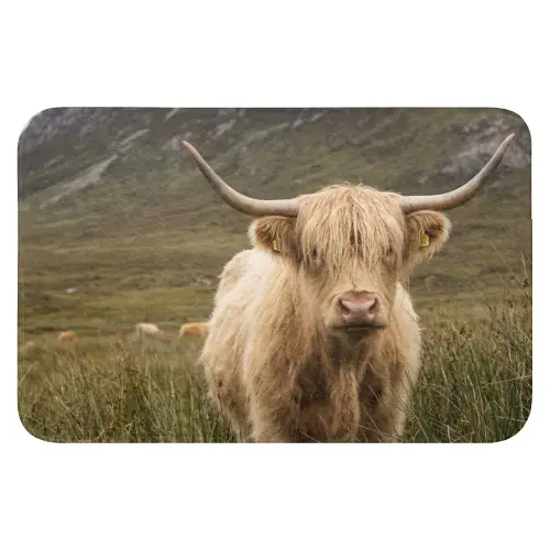 Schotse hooglander - Bergen - Grasveld WCmat klein -3d