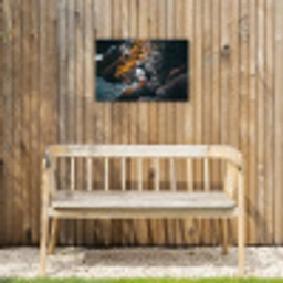 Papegaai - Vogel - Rots - Wit Tuinposter op houten frame 2 cm dik klein -sfeer4