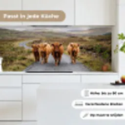 Schotse Hooglanders - Weg - Landschap - Kudde keuken achterwand 2 middel -sfeer4_DE