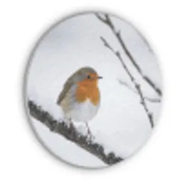 Roodborstje - Tak - Sneeuw - Winter - Levendig Akoestische PET Vilt - Rond klein -3d