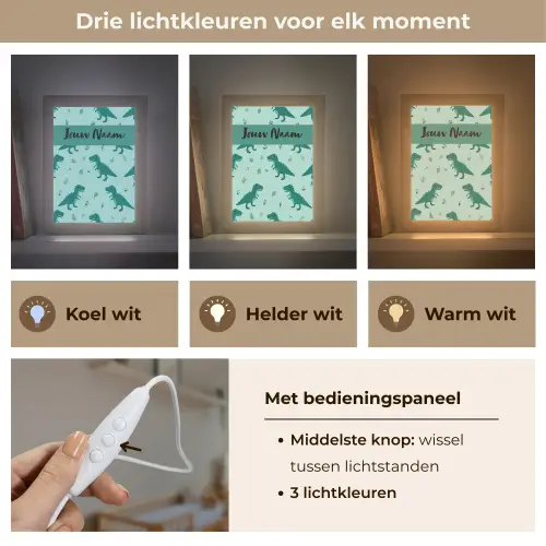 Dinosaurus - Blauw - Bladeren - Voetafdrukken Light Box met kabel (Kinderlampje) klein -USP_lichtkleurNL