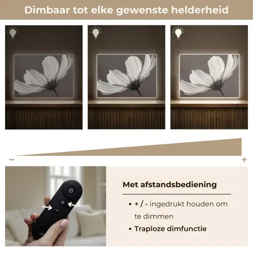 Bloem - Minimalistisch - Zwart - Wit Light Box met batterij (Wandlamp) middel -USP_dimbaarNL