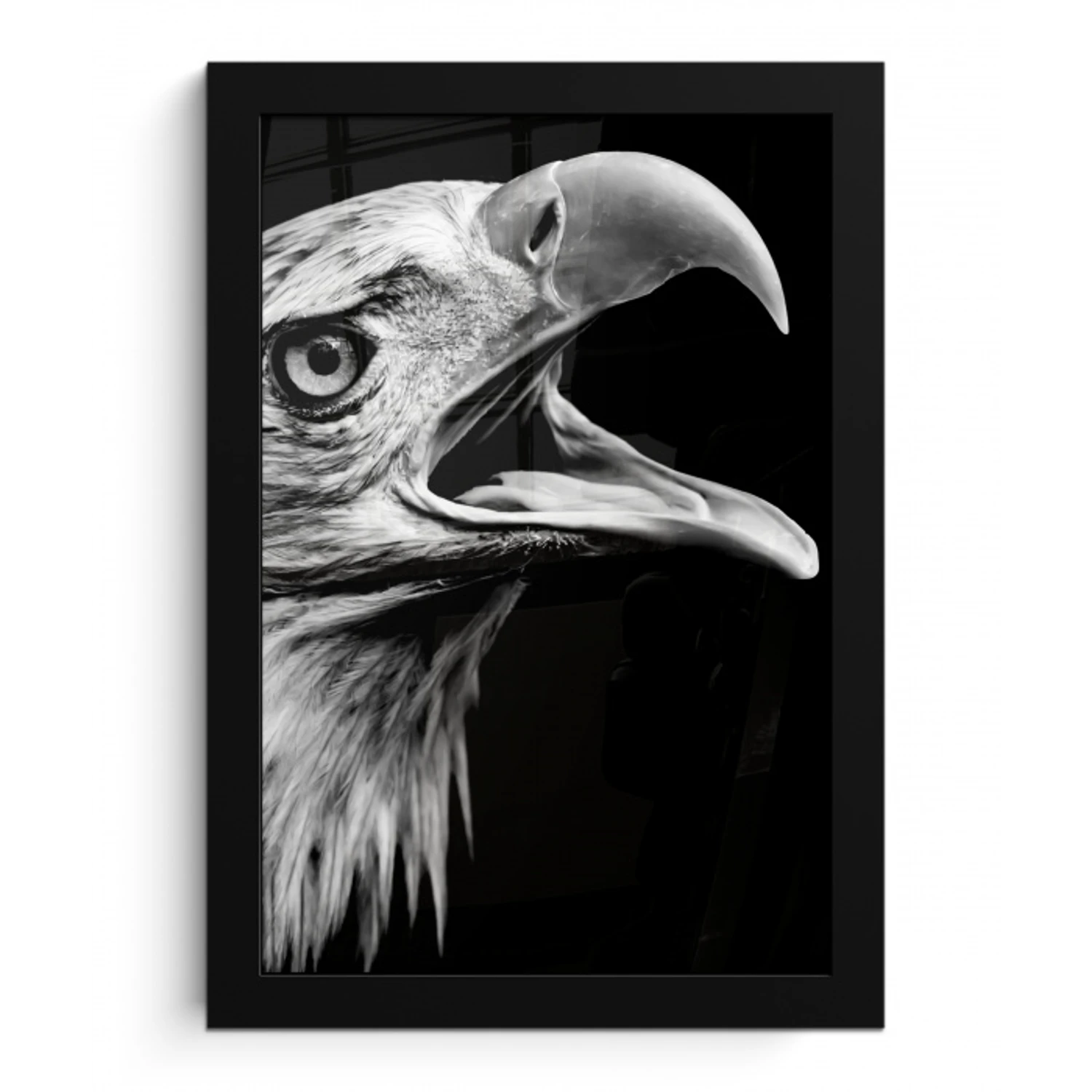 Adelaar - Portret - Roofvogels - Zwart - Wit - Vogel fotolijst zwart zonder passe partout klein -3d