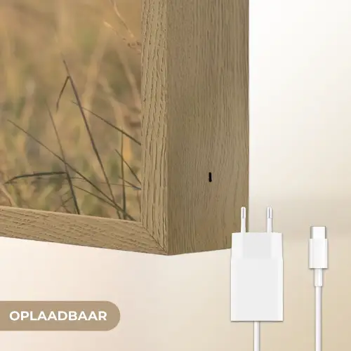 Leeuwin - Gras - Geel Light Box met batterij (Wandlamp) middel -USP_websiteoplaadbaarNL