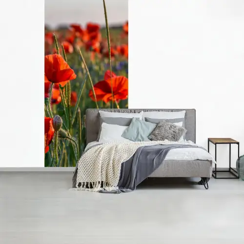 Bloemen - Klaprozen - Natuur - Rood fotobehang vinyl groot -slaapkamer