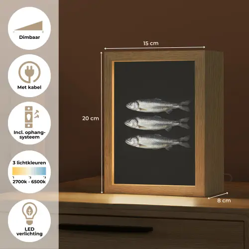Haring - Vissen - Zwart Light Box met kabel (Tafellamp) klein -USP_NL