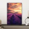 Lavendelveld - Zonsondergang - Paars canvas 2cm klein -sfeer6