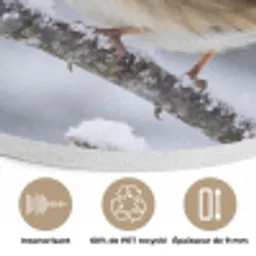 Vogel - Tak - Sneeuw - Winter Akoestische PET Vilt - Rond klein -closeup_FR
