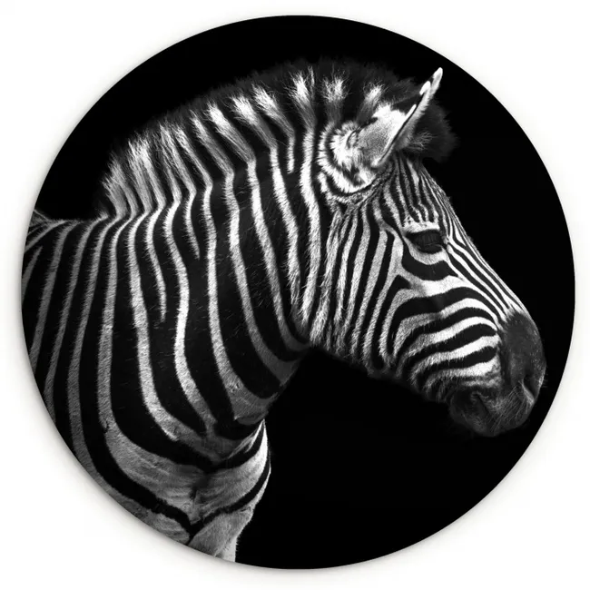 Zebra - Zwart - Wit - Portret - Dieren Wandcirkel kunststof plaat 5mm dik klein -3d