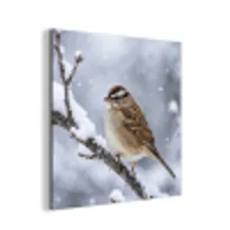 Vogel - Tak - Sneeuw - Winter aluminium wit klein -3d