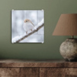 Vogeltje - Sneeuw - Tak - Winter - Zacht plexiglas 5mm klein -sfeer3