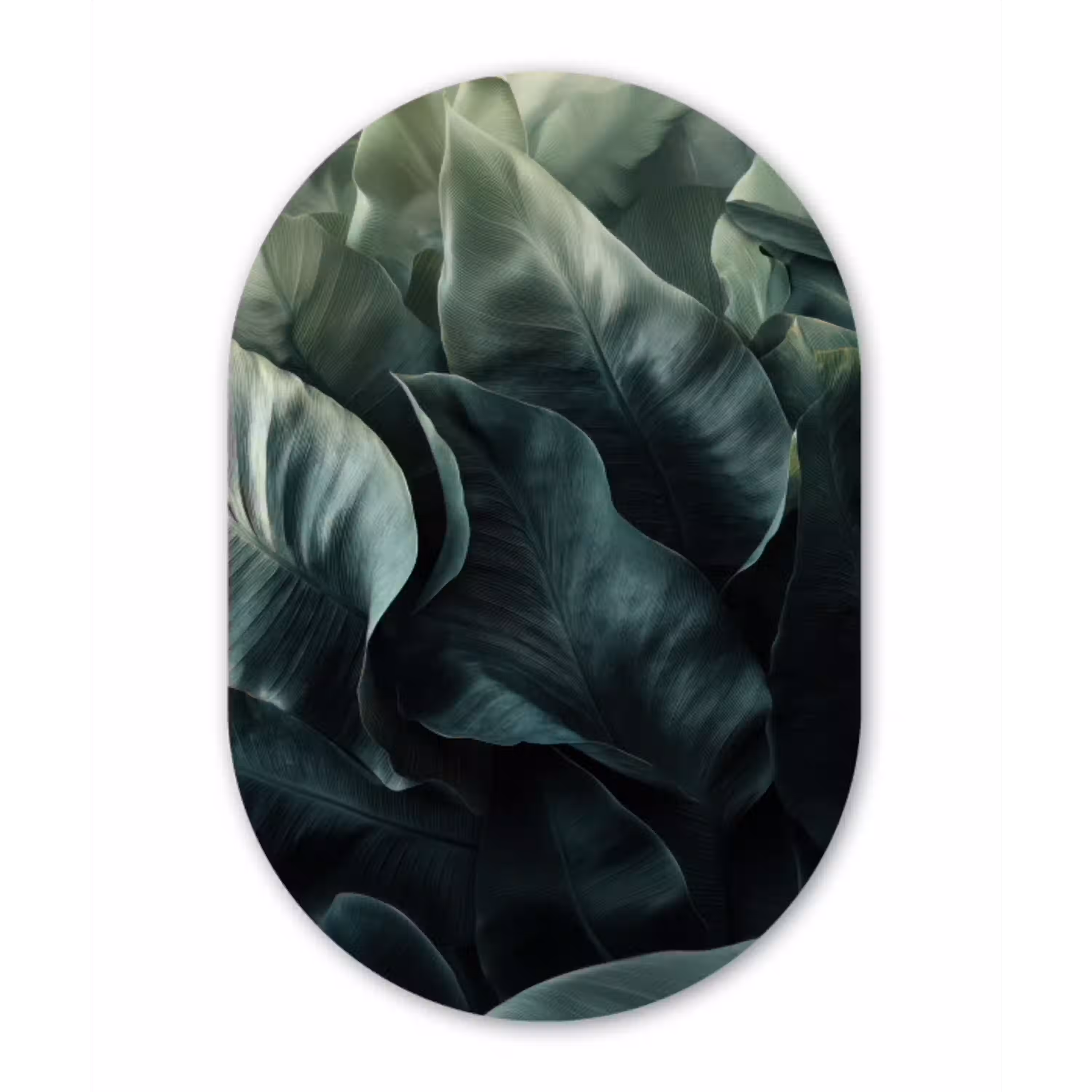 Groen - Bladeren - Glad - Nerven Wandcirkel Ovaal Glas middel -3d