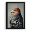 Vogel - Realistisch - Veren - Bruin fotolijst zwart zonder passe partout klein -3d
