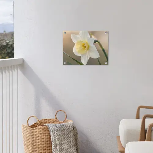 Narcis - Bloem - Minimalistisch tuinposter los doek klein -sfeer8
