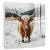 Schotse Hooglander - Landschap - Sneeuw - Bergen - Winter plexiglas 5mm klein -zzzproduct_nieuw