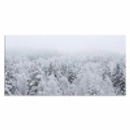 Bos - Sneeuw - Winter - Natuur - Wit Muismat XXL klein -3d_leeg
