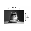 Langharige kat - Zonnebril - Spaghetti - Humor - Zwart - wit Placemat vinyl groot -specs