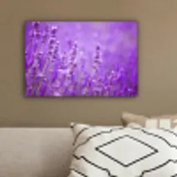 Lavendel - Close-up - Bloemen - Paars canvas 2cm klein -sfeer3