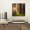 Bos - Gras - Zonlicht aluminium wit klein -sfeer1
