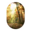 Bos - Herfst - Zon - Landschap - Natuur - Bomen - Bladeren Wandcirkel Ovaal Forex klein -3d