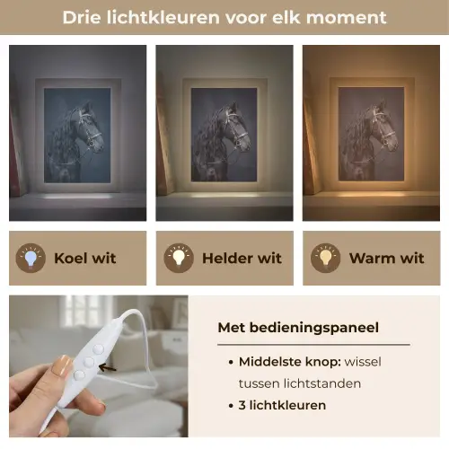 Portret - Paard - Donker Light Box met kabel (Tafellamp) klein -USP_lichtkleurNL