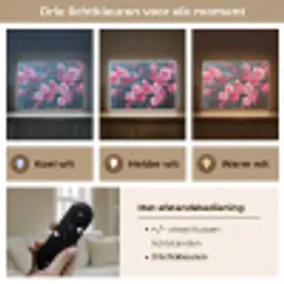 Bloem - Bloesems - Roze - Abstract Light Box met batterij (Wandlamp) middel -USP_lichtkleurNL
