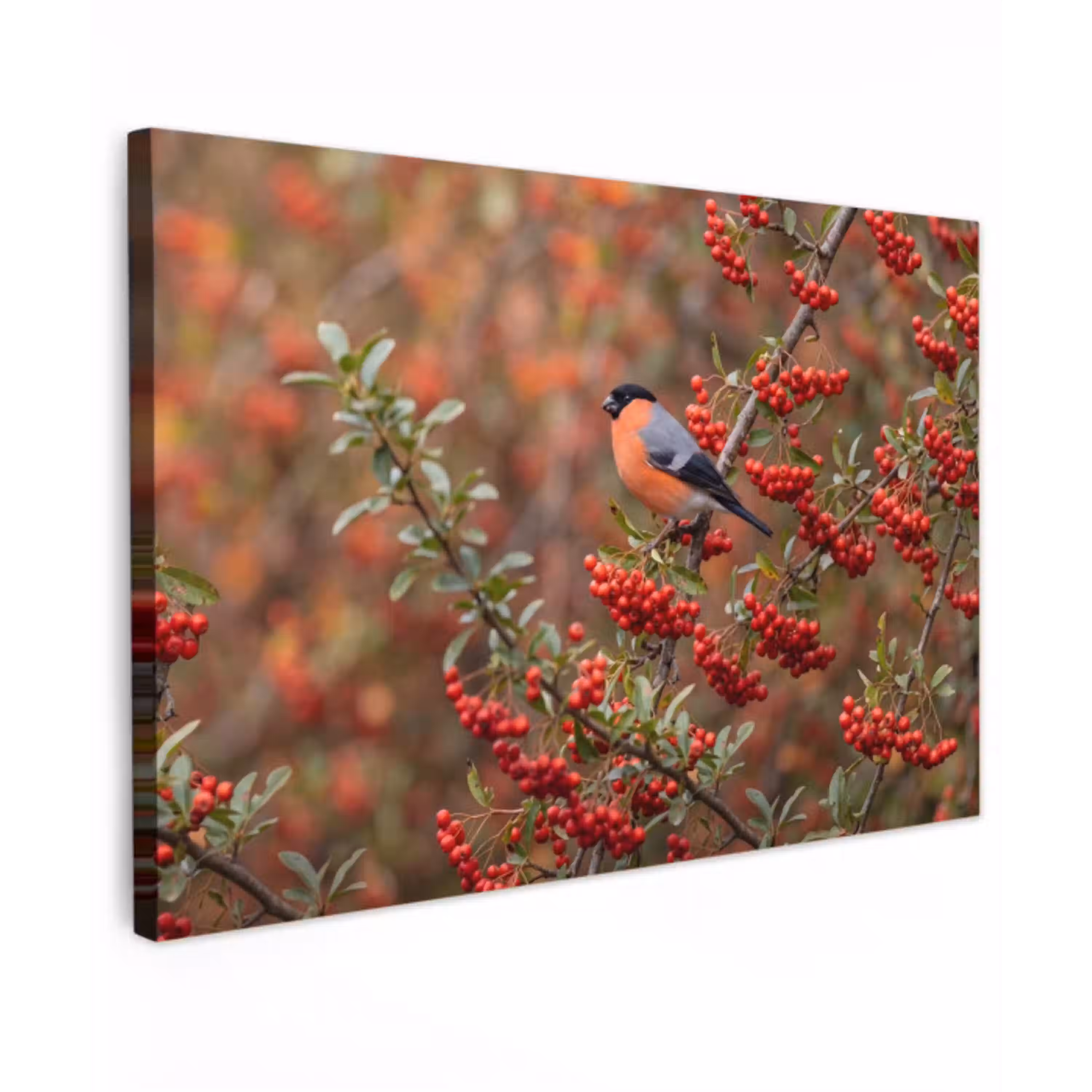 Goudvink - Bessen - Herfst - Natuur - Kleurrijk canvas 2cm klein -z3d