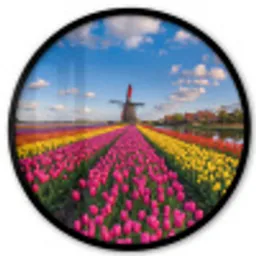 Tulpen - Holland - Molen - Kleurrijk Fotolijst rond zonder passe partout klein -3d
