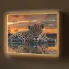Natuur - Luipaard - Dier - Zonsondergang - Modern Light Box met batterij (Wandlamp) middel -z3d_website