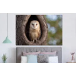 Kerkuil - Boom - Natuur - Bruin forex 5mm xxl -slaapkamer