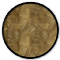 Organisch - Lijnen - Goud Fotolijst rond zonder passe partout klein 856 -3d