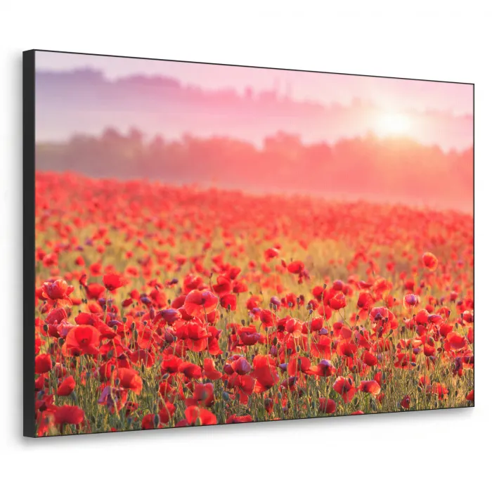 Bloemen - Klaprozen - Rood - Bloemenveld Textielframe - compleet frame klein -3d